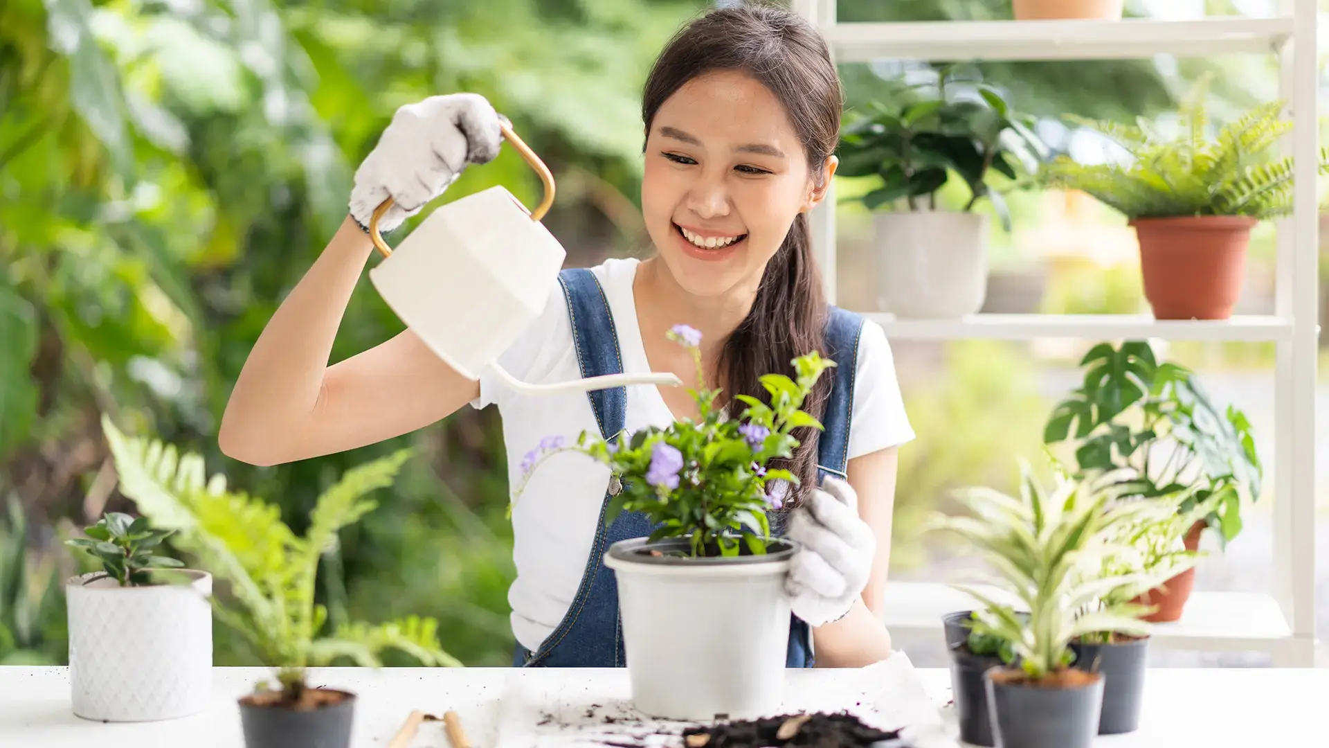 Planting
